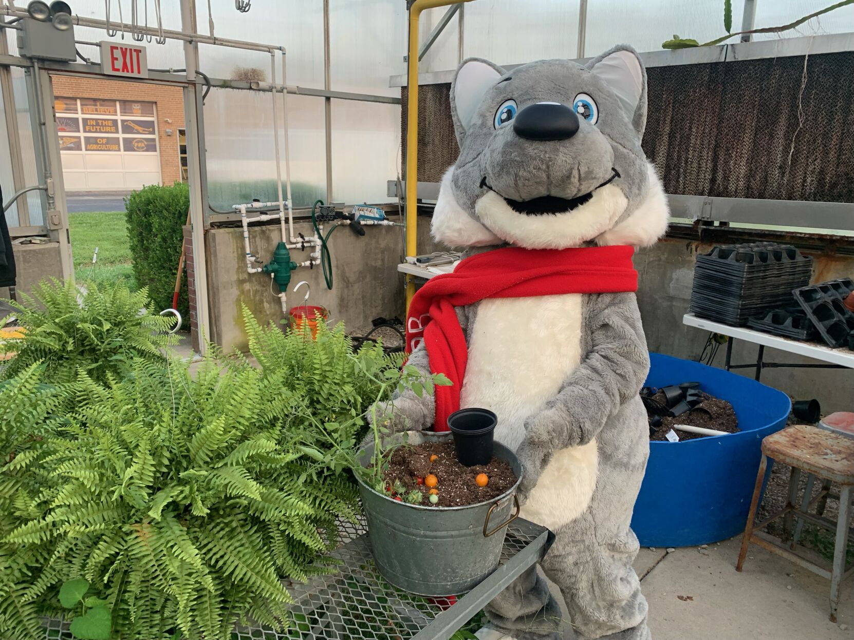 WDRB's Snow Fox visits Bullitt Central's Ag program